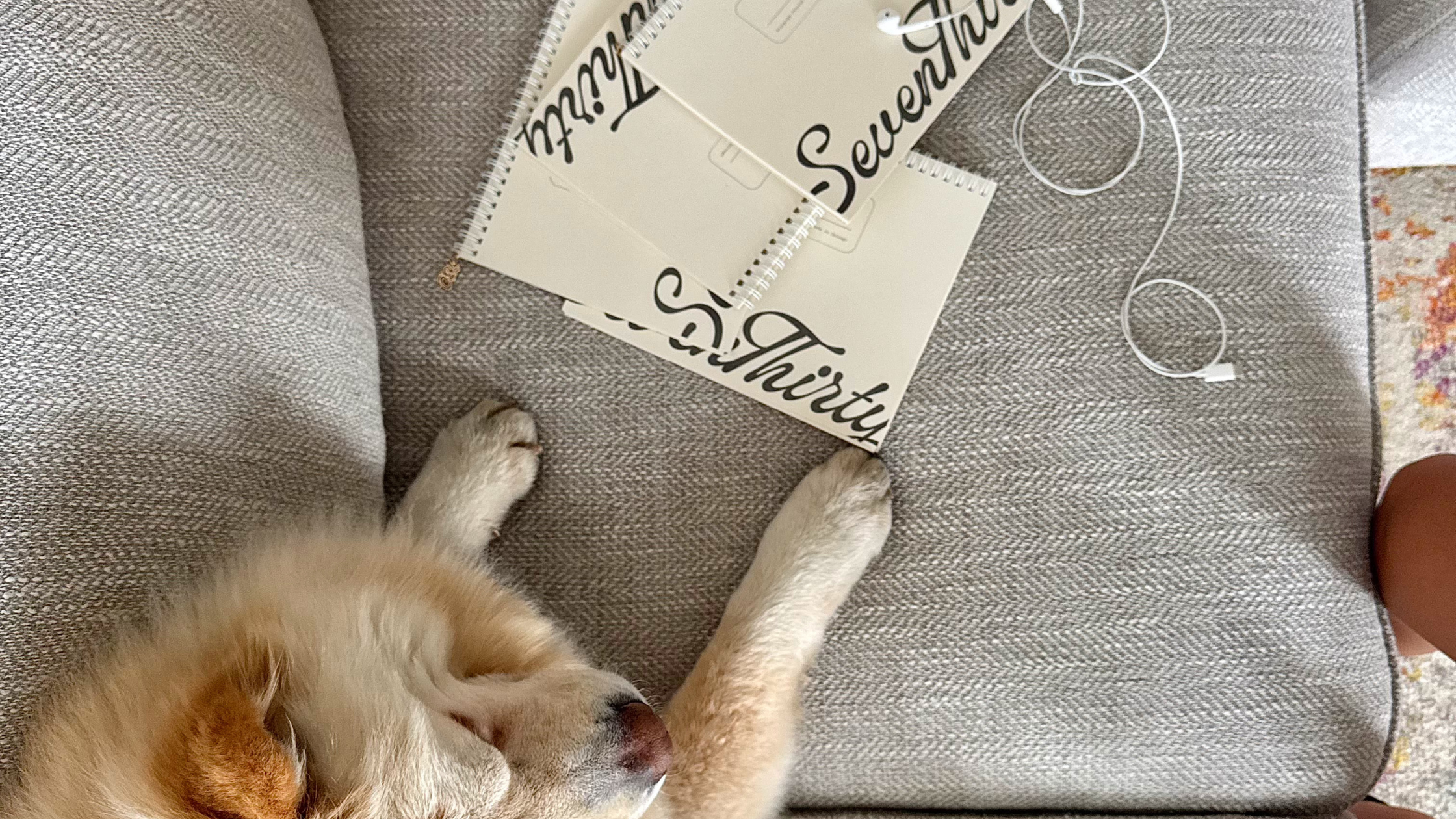 More Than a Planner